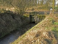 NL, Noord-Brabant, Bergeijk, Zwarte Horstweijer 5, Saxifraga-Jan van der Straaten